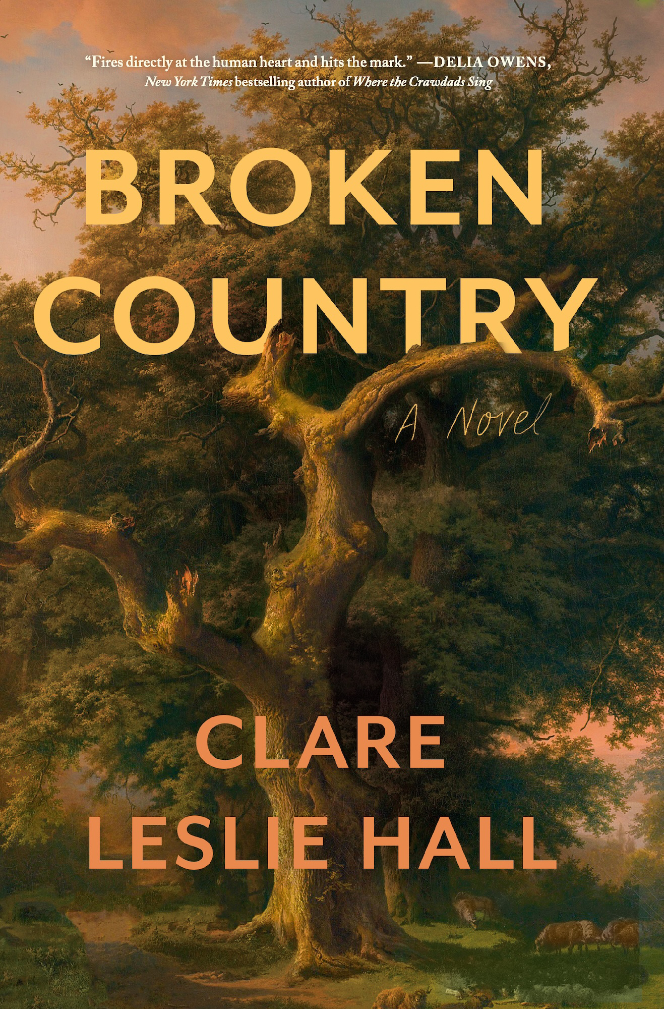Broken Country cover
