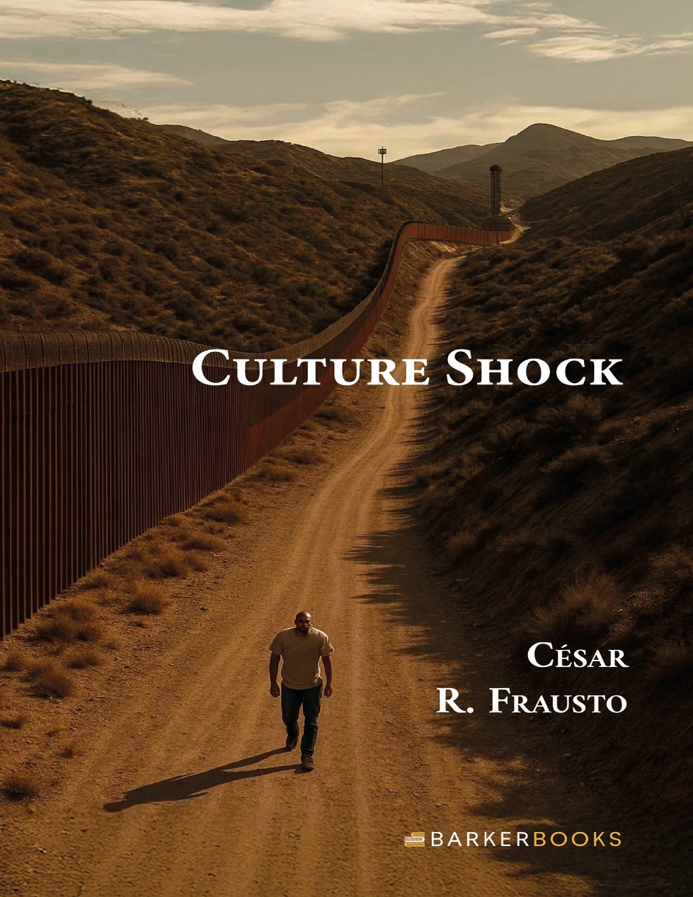 Culture Shock cover