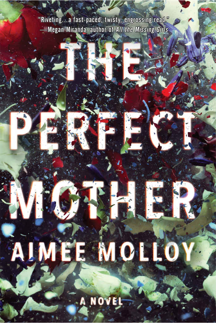 The Perfect Mother cover