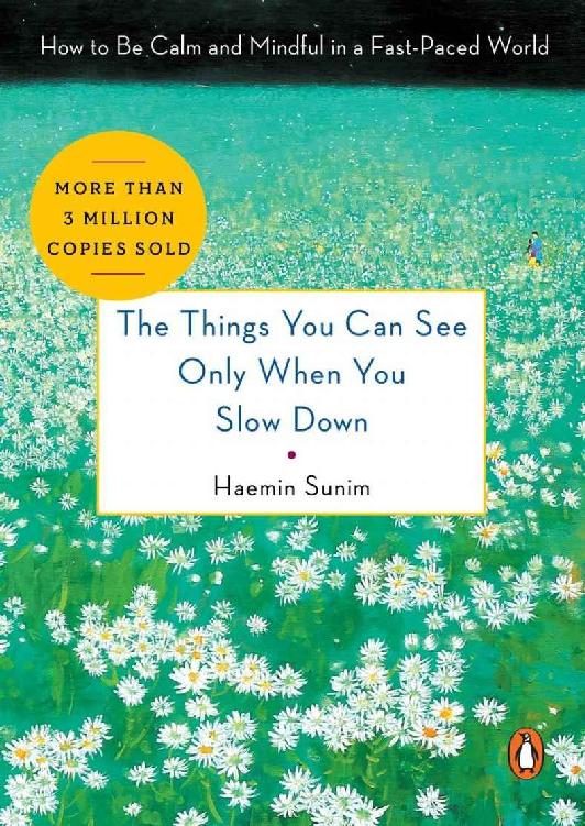 The Things You Can See Only When You Slow Down: How to Be Calm and Mindful in a Fast-Paced World cover