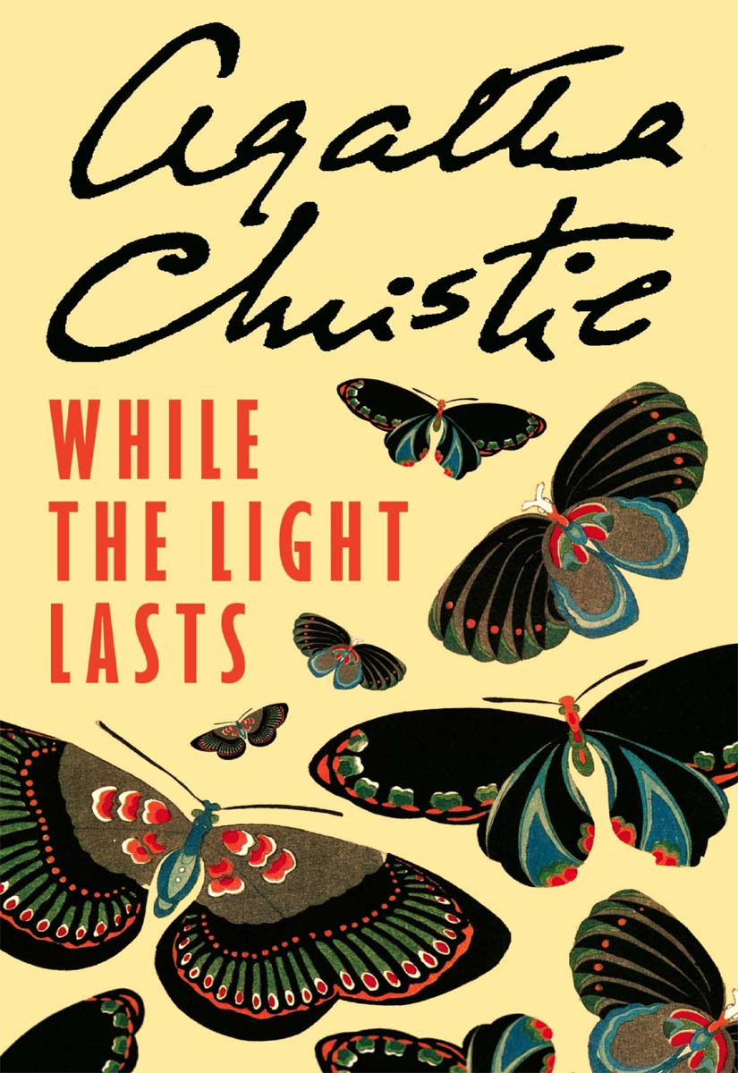 While the Light Lasts cover
