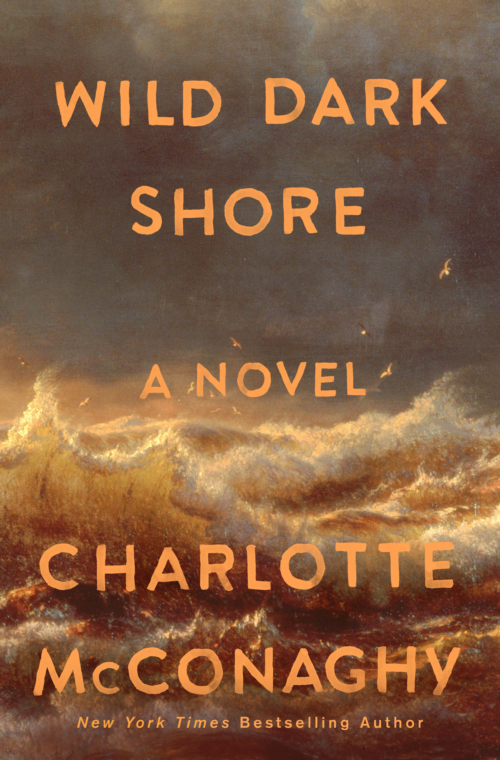 Wild Dark Shore cover